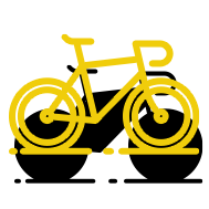 Activités sportives estivales