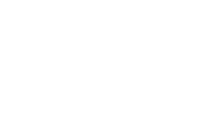 SODISPA